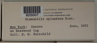 Image Associated With the Occurence